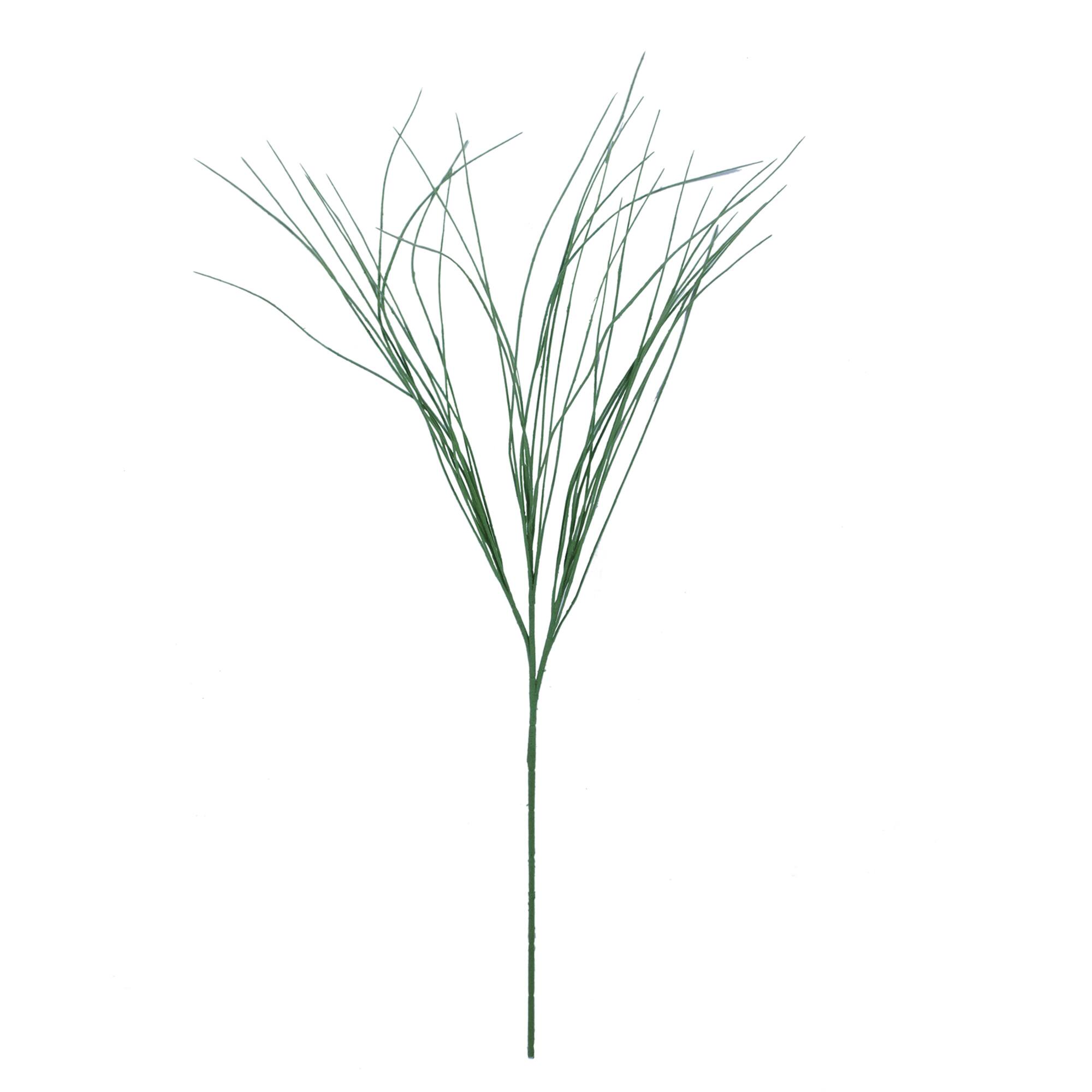 Assorted Branch Twig by Ashland®